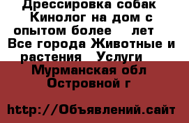 Дрессировка собак (Кинолог на дом с опытом более 10 лет) - Все города Животные и растения » Услуги   . Мурманская обл.,Островной г.